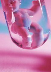 泰国三代试管包孕的具体流程是，泰国三代试管包孕，详解具体流程