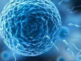 南京市正规的助孕机构有哪些