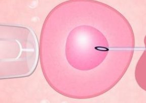 山东试管生殖医院前十强出炉，解读2026三代试管生孩子流程