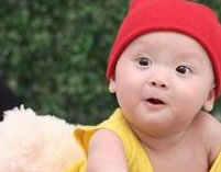 曾经胎停育可以做试管婴儿吗？