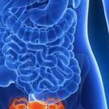 衡阳试管助孕成功率多少？试管婴儿成功率多少？