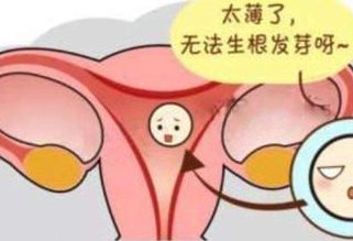 揭秘试管移植鲜胚的三大惊喜好处，这些知识点你可能还没听过